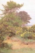 George Marks At the Edge of Shere Heath (mk46) oil on canvas